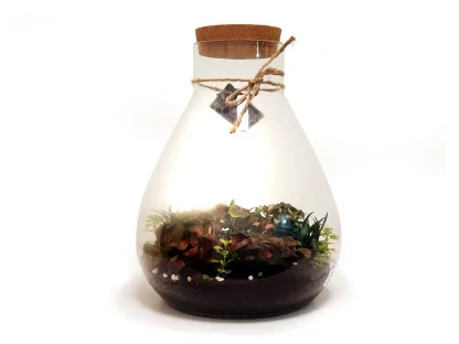 טרריום ענק צנצנת