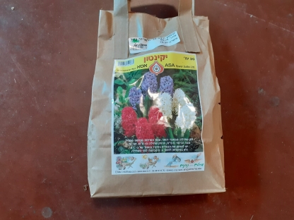 יקינטון מיקס 20 יח'/אריזה גדולה