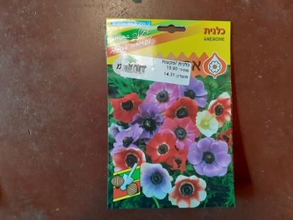 כלנית /פקעות