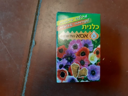 כלניות 50יח/אריזת חיסכון