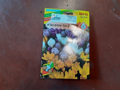 כרכום/פקעות