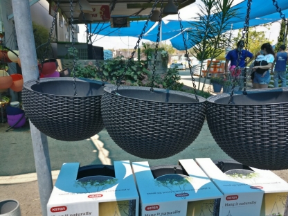 עציץ ראטן לתליה- כתר