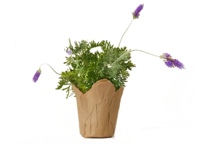 לבנדר נייר חום