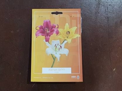 ליליום תערובת/פקעות