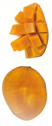 מנגו 2