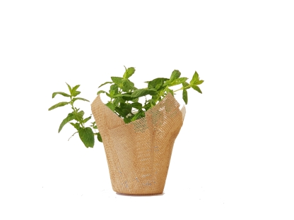 נענע נייר יוטה