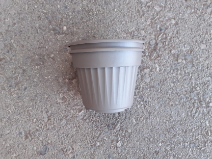 עציץ נרקיס 18