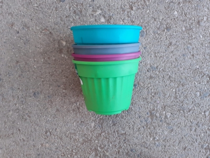 עציץ נרקיס 14