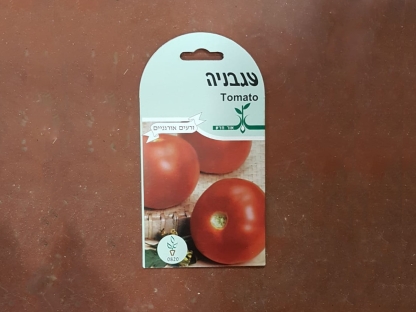 זרעי עגבניה