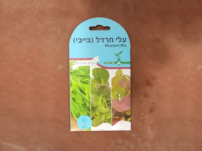זרעי עלי חרדל