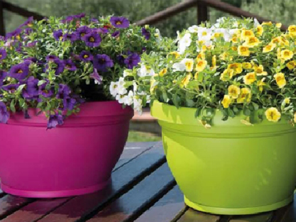 עציצים ואדניות פלסטיק