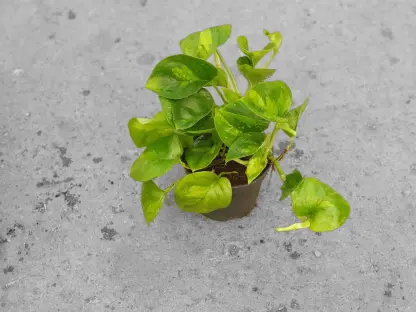 פוטוס גלובל גרין