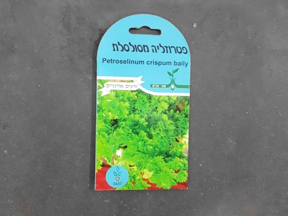 זרעי פטרוזיליה מסולסלת