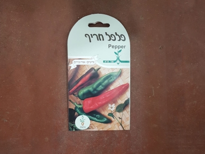 זרעי פלפל חריף