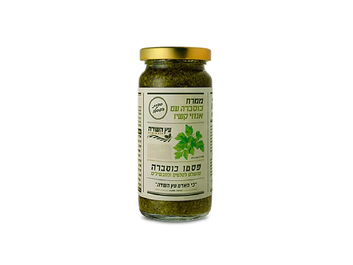 ממרח פסטו כוסברה ואגוזי קשיו