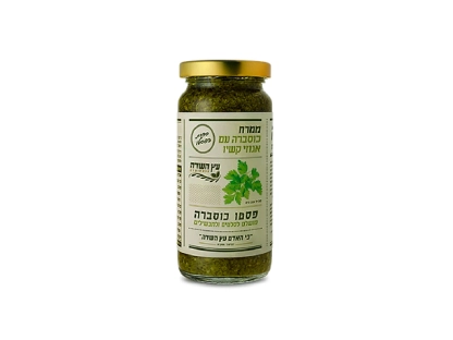 ממרח פסטו כוסברה ואגוזי קשיו