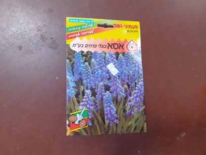 פעמוני גשם/פקעות