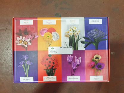 פקעות אריזת שי