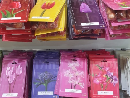 פקעות בגלויות