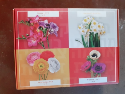 קופסא תערובת בצלים