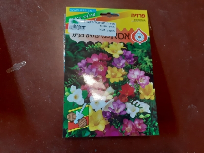 פרזיה תערובת/פקעות