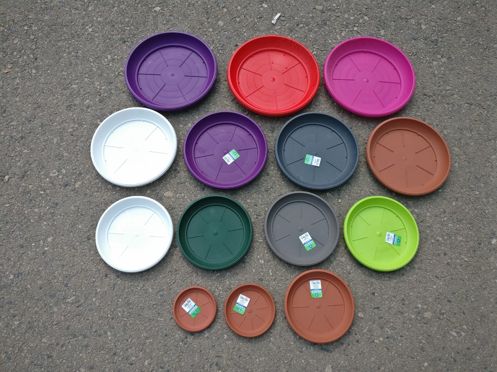 צלחת פלסטיק