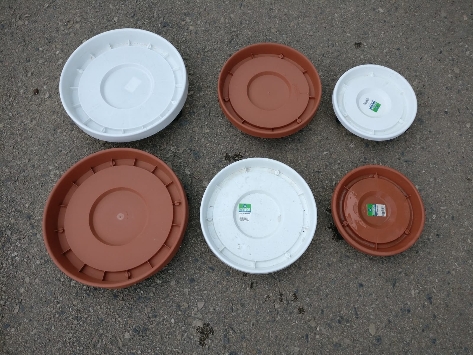 צלחת גלגלים - 25 ס"מ - לבן