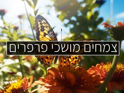 צמחים מושכי פרפרים - כתבה