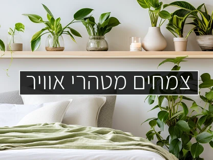 צמחים מטהרי אוויר כתבה