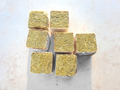 קוביית הנבטה בודדת