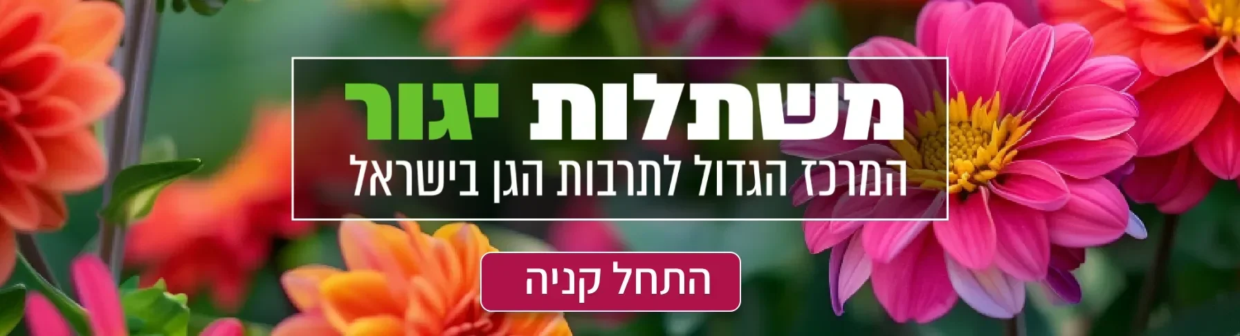 משתלות יגור | משתלות מומחים | משתלה בצפון