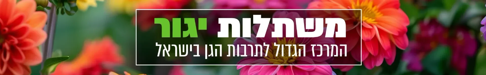 משתלות יגור | משתלות מומחים | משתלה בצפון