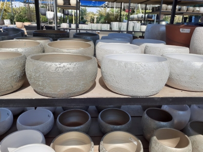 קערה אלביס כוס תה לו שמפניה 23 ס"מ