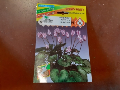 רקפות/פקעות