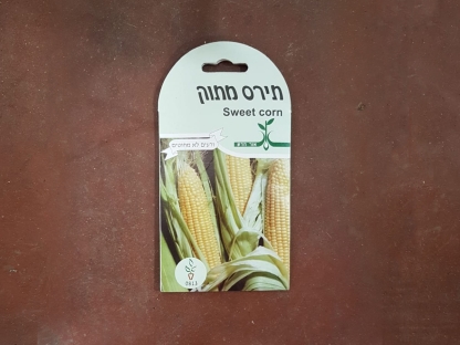 זרעי תירס מתוק