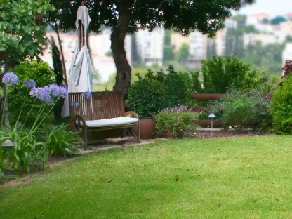 עיצוב ותכנון גינות