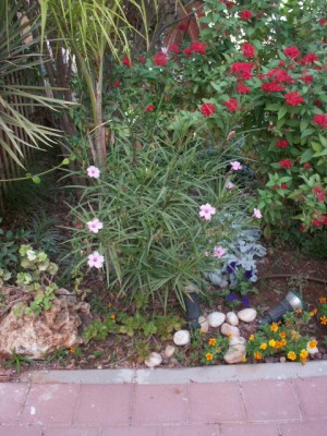 PICT0003.jpg