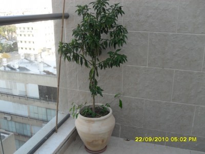 SDC11234.JPG