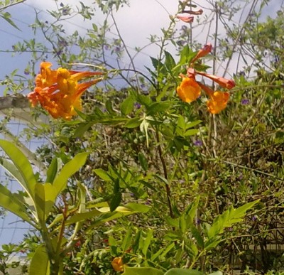 21092010182.jpg