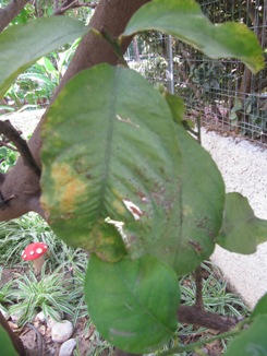 IMG_1726.jpg