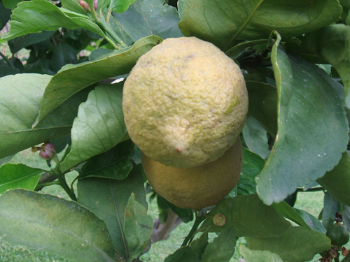 DSCF1830.jpg