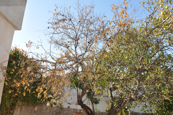 DSC_0479.JPG