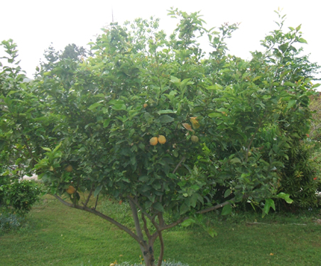 DSCF1827.jpg