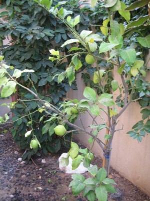image001.jpg