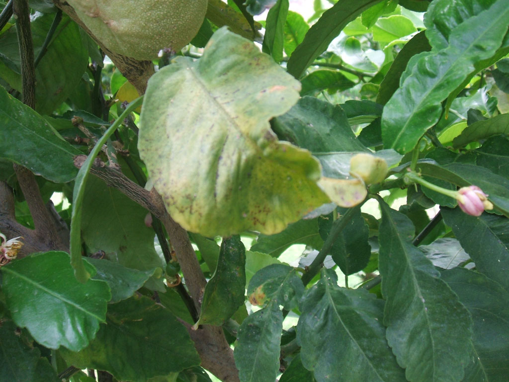 DSCF1845.jpg