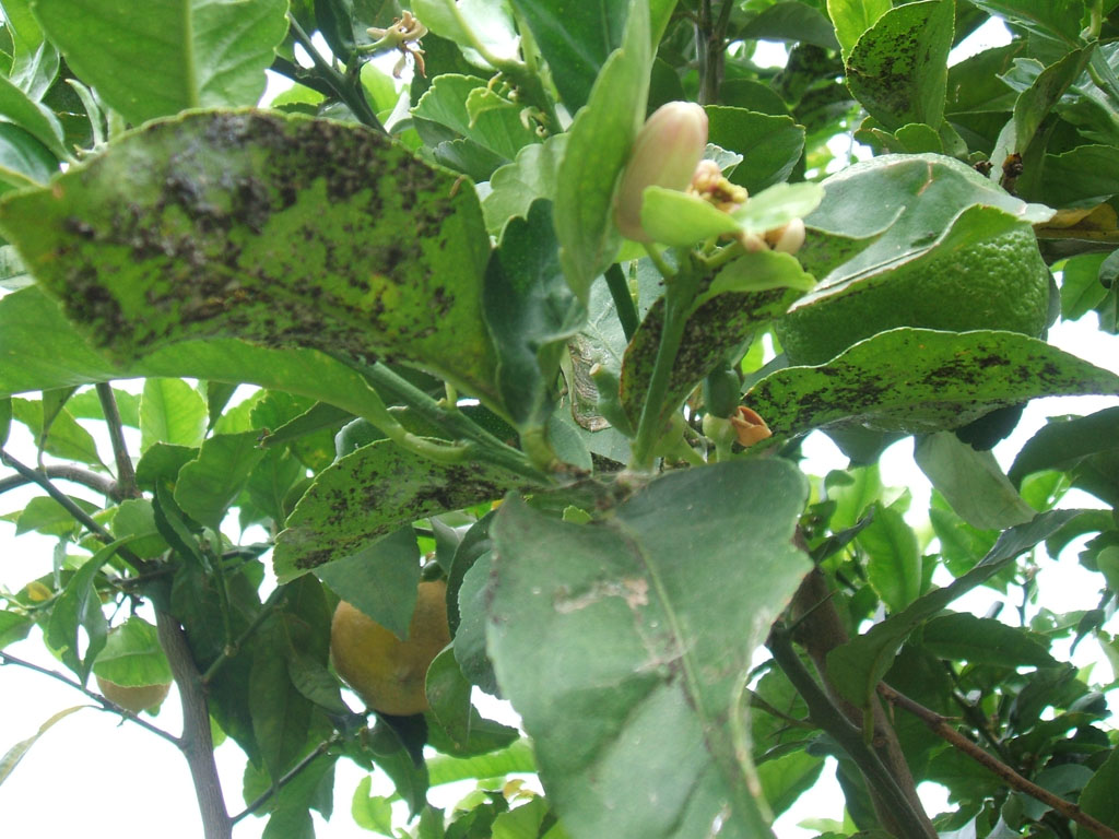 DSCF1847.jpg