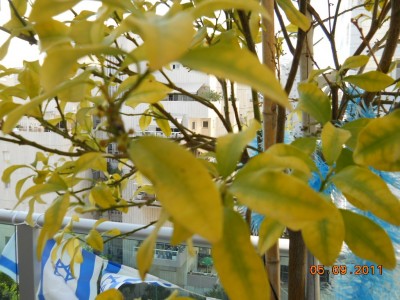 DSCN0256.jpg