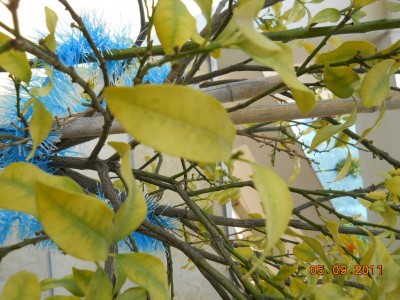 DSCN0257.jpg