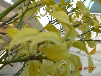 DSCN0260.jpg