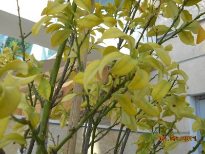 DSCN0261.jpg